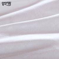 伊伊爱BZ0JD02201120 全棉 防羽布酒店公寓值班室被芯200*230cm(单位:床)白色