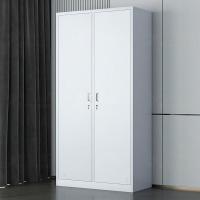 臻远ZY-GYGA-1 更衣柜铁皮柜健身房存包柜更衣室衣柜鞋柜 2门更衣柜