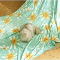 恒源祥 法兰绒毛毯 150*200米(单位:件)