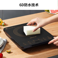 九阳电磁炉 家用2200W大功率电磁灶十档防水煎炒菜一体小型定时火锅炉C22S-N2130-C1[双锅款]