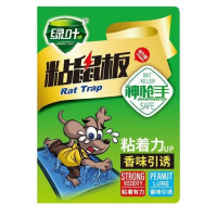绿叶 工业用强力粘鼠板超强力一窝端灭鼠神器家用加大加厚个