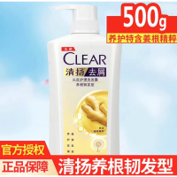 清扬养根韧发型洗发露500g净屑强韧含生姜提取物 男女通用 新老包装随机发货