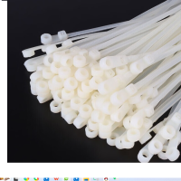 冰禹 白尼龙扎带可固定头绑带 螺丝孔圆头电缆扎线带固定 3.6*100mm(100根) BYT-38