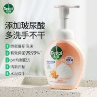 滴露 泡沫抑菌洗手液 西柚香型 6974352530352 250mL 1瓶