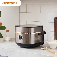 九阳(Joyoung)F-20FY1电饭煲铜釜内胆 2升L家用迷你小容量电饭锅预约触摸式智能控制 电饭煲F-20FY1