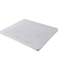 潮门圣地1*2m宿舍用床垫 花色随机(张)