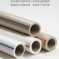 联塑ppr水管 冷水管材ppr管件 抗高压/耐腐蚀 白色 dn160[6寸/1.25MPa/ 壁厚14.6mm] 4米/