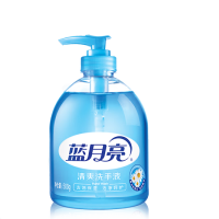 蓝月亮 清爽洗手液 6902022130281 500g 1 瓶 洗手液 个人护理洗手液 护手洗手液 消毒洗手液