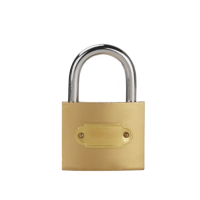 巨成 仿铜一字挂锁防盗锁防水大门锁仓库门锁锁头小锁子柜子抽屉箱子锁 50mm短梁通开+(一把钥匙)