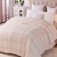 册宣 春秋冬棉花垫被 5斤 1.5米*2米