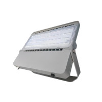 维莱奥斯 TGD1002-G 100W IP66 220V 5700K LED投光灯 银色