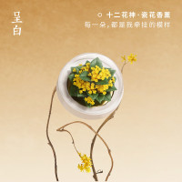 呈白CHENGBAI智能香薰机M100 精准控时自动感应香薰扩散清新空气智能家居设计