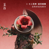 呈白CHENGBAI智能香薰机T01 精准控时 静音设计 恒温香薰 满屋芬芳