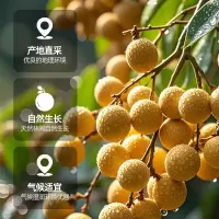 田知府 桂圆干180g(袋装)