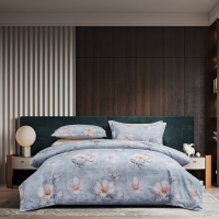 梦洁臻享超柔磨毛四件套:云梦花间1010189120