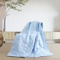 梦洁家纺 梦洁臻享舒柔夏被蕾佳娜1010289012