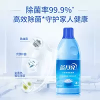 蓝月亮 蓝色月光白色衣物色渍净 600g