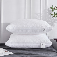 皮尔特保罗 水立方舒柔对枕 PPLZ-003