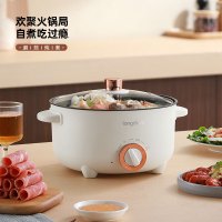 龙的LD-HG313G新款多功能电火锅