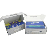 德则 DEZ-TZH567 运动双饮壶套装(运动巾*1+运动双饮壶*1) 颜色随机搭配