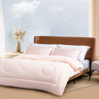 水星家纺 远山含黛抗菌防螨冬被 126723 220*240cm