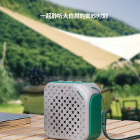 纽曼 TWS蓝牙音箱音响灰绿色 PBS001-TWS