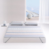 水星家纺 晨园悠香印花冰丝席 127626 150*200cm