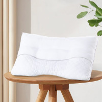 水星家纺 闲逸决明子抗菌枕 123037 48*74cm