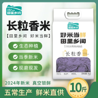 田里乡间长粒香米5kg TLXJ008