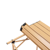 外交官(Diplomat)折叠桌椅三件套(1桌2椅)DFJ-210*2+DFJ-211*1