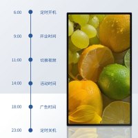 飞显(DISFLY) FX-LHDGBX12W 32英寸 壁挂式广告机 (计价单位:台) 黑色