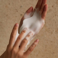 拓趣 450ml 洗手液(计价单位:瓶)