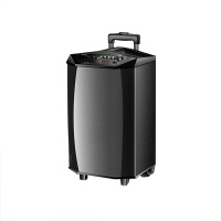 杜克恩DKE-YX-10 音箱(计价单位:个)黑色