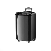 杜克恩DKE-YX-10 音箱(计价单位:个)黑色