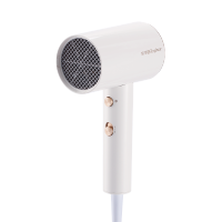 荣事达(Royalstar) RC-210A 电吹风机(计价单位:台)白色