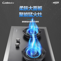 康宝 家用燃气灶 JZT-Q250-B315 双眼节能燃气灶B315 磨砂质感面板 超大火力 天然气