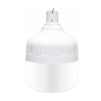 宙明 ZM-XP25A 79W 5700K type-c充电 8.3mmX2.5mm LED灯泡 1.00 个/台 (计