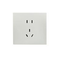 佳谊林电气 JYL-1K2/23 10A 250V 插座 (计价单位:个) 白色