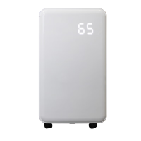 中频 ZP-10L 吸湿机 (计价单位:台) 白色