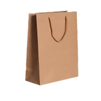 优诗提念 YSTN-WJD01 25*33*11CM 10个/包 手提牛皮纸袋 10.00 个/包 (计价单位:包) 棕