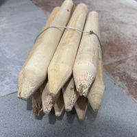 详火鸟 测量木桩 根