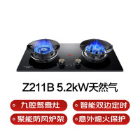 创维燃气灶智能双边定时意外熄火保护九腔鸳鸯灶JZT-Z211B