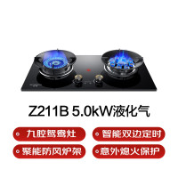 创维燃气灶智能双边定时意外熄火保护九腔鸳鸯灶JZY-Z211B