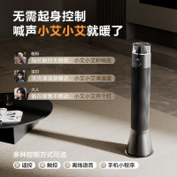 艾美特(AIRMATE)暖风机HP22-SR91