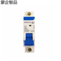 蒙企智品 小型断路器NXB-63 1P/个