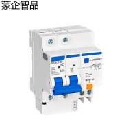 蒙企智品 漏电保护断路器NXBLE-32 2P/个