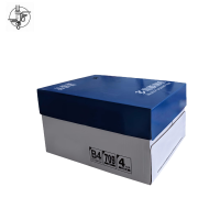 丛信哲 B4打印纸4包/箱