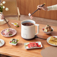 海牌多功能电煮锅DZG20/台