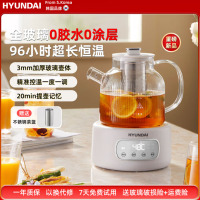 HYUNDAI全玻璃养生壶家用小型办公室效恒温保烧水长多功能花茶银耳羹粥炖煮一体婴儿调奶器冲奶电热 养生壶+滤网 1L