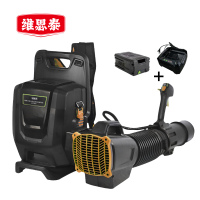 维思泰 锂电充电吹风机除雪机暴风机 LDC82V 台